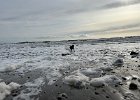IMG 1518