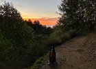 IMG 1614  Doggo and I hike at sunset. Not bad.