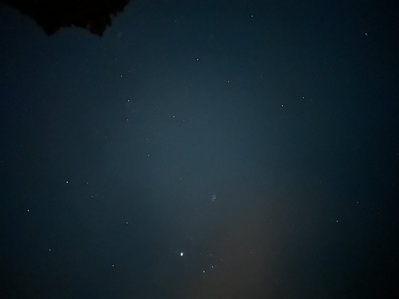 IMG 2001