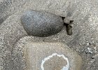 IMG 2034  O?