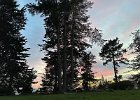 IMG 2083