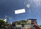 IMG 2937  November 2021. Long enough for that sticker to dry onto the window.