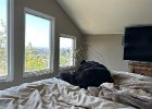 IMG 3164  Koba hops up to enjoy his restored view.