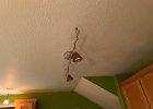 IMG 3389