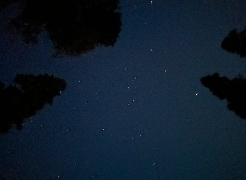 IMG 3558