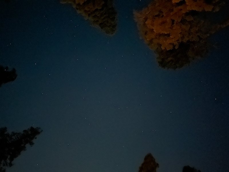 IMG 3665