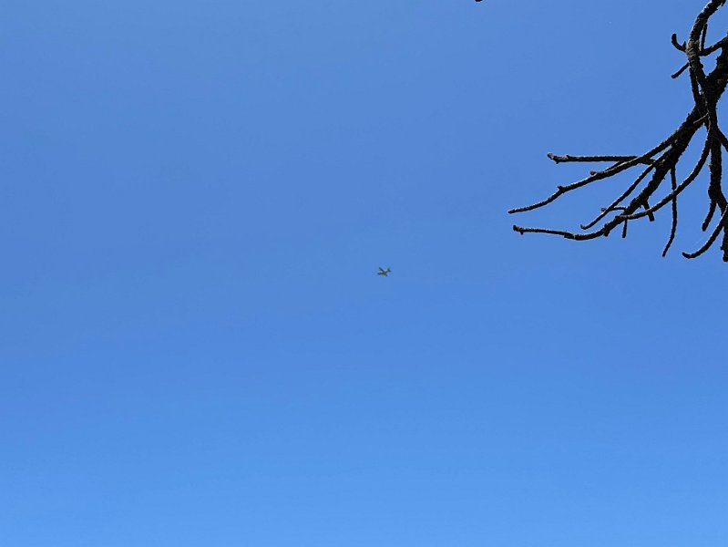 IMG 3685