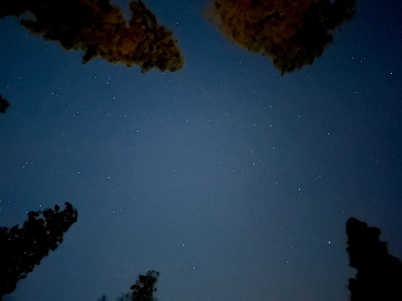 IMG 3743