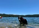 IMG 3704