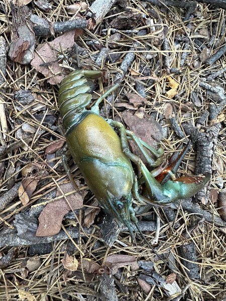 IMG 3801
