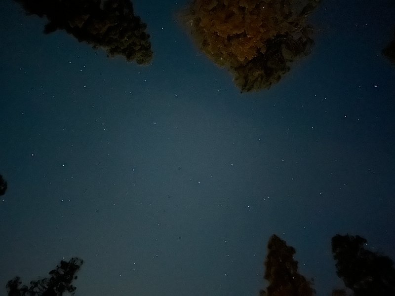 IMG 3831
