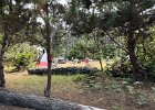 IMG 4017