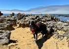 IMG 4047