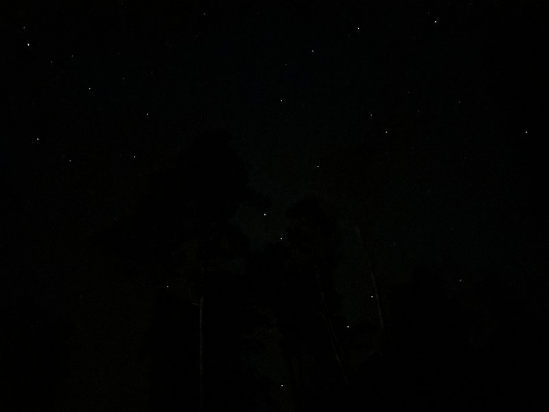 IMG 4354