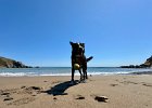 IMG 4324  Ptui.