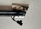 IMG 4441