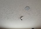 IMG 4442