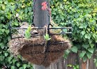 IMG 4491