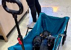 IMG 4492  And then we go to Pet Vet for some dog food and there is this cart full of puppies!