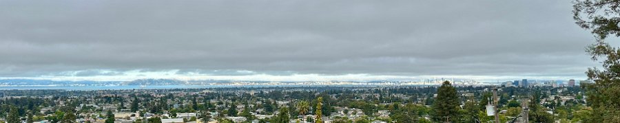 IMG 4517