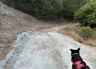 IMG 4556