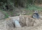 IMG 4561