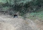 IMG 4562