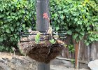 IMG 4573