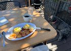 IMG 4585
