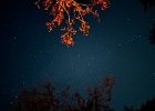IMG 5151
