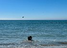 IMG 5156