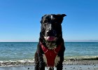 IMG 5171