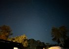IMG 5401  Orion!
