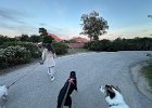 IMG 5432