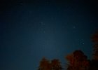 IMG 5475