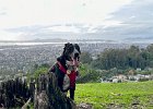 IMG 5791