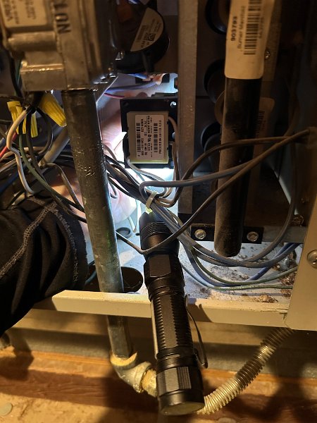 IMG 5928