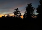 IMG 5979  Just finished walking Koba and there was a nice sunset.