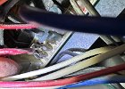 IMG 6052