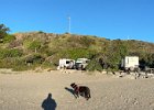 IMG 6084  360. Koba for scale.
