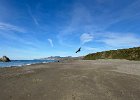 IMG 6158