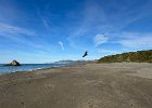 IMG 6159