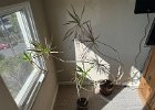 IMG 6377