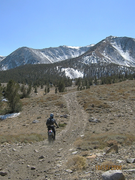IMG_0055.JPG - "You might see a few rocks", they said.