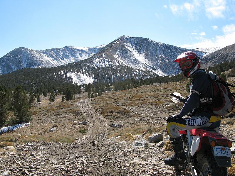 IMG_1427.JPG - This is about 10,000 feet.