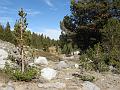 IMG_1433