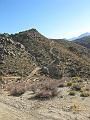 IMG_1462