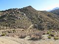 IMG_1463