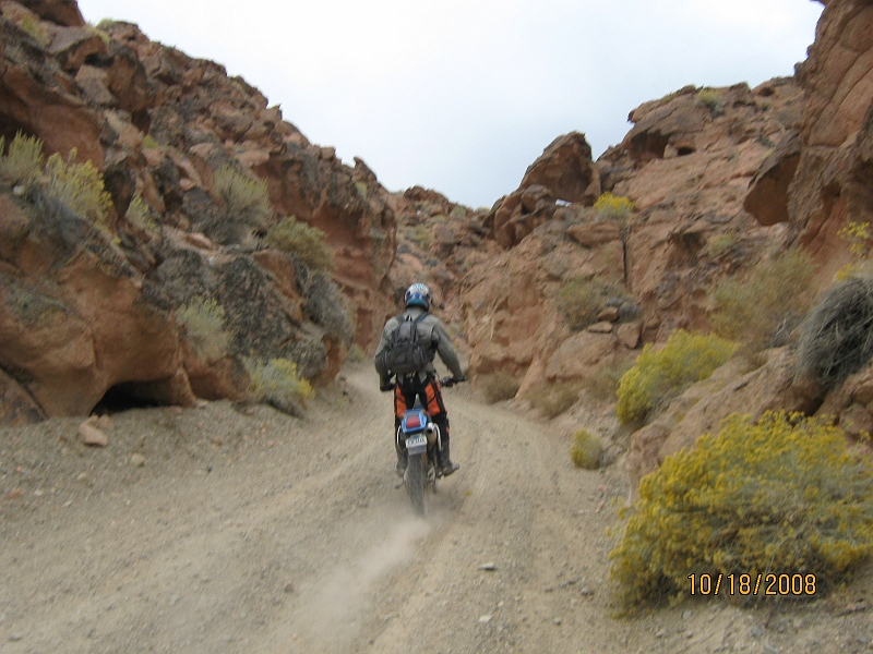 IMG_0084.JPG - Fun bit of trail. Definitely don't want to run wide in a turn here.
