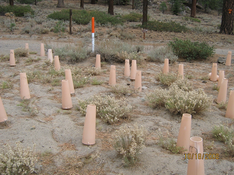 IMG_0130.JPG - Your assignment, use google searches to figure out what these are.